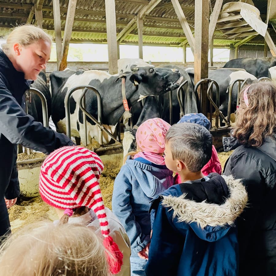 Lernort Bauernhof - Besuch auf dem Milchhof